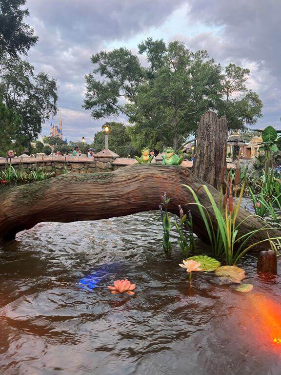 water ride at magic kingdom tianas